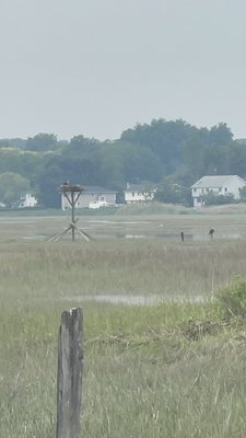 Crab Meadow Beach by null