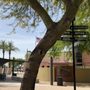 Photo of Central Christian Church - Gilbert