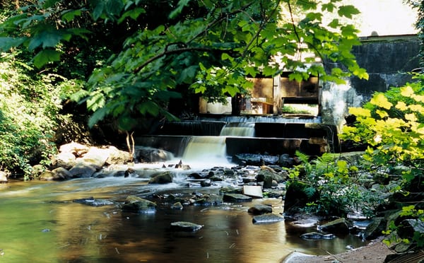 Restaurant zur Wulfsmühle by null