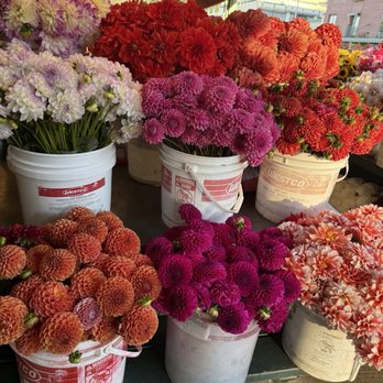Pike Place Market - more flowers - Public Markets Near Me - Seattle, Washington Pike Place Market - more flowers - Public Markets Near Me - Seattle, Washington