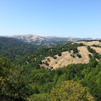 Yolanda Trail - Hiking Near Me - Ross, California Yolanda Trail - Hiking Near Me - Ross, California