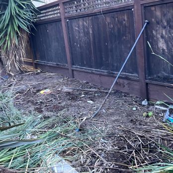 Dimas Trees & More - Used prybar to remove large vegetation - Tree Services Near Me Dimas Trees & More - Used prybar to remove large vegetation - Tree Services Near Me