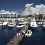 Photo of Loggerhead Marina - Stuart
