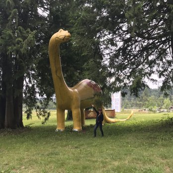Bridal Veil Falls Provincial Park - This is the across the gas station, it's and rv parking place but I wanted a pick with the dinosaur - Parks Near Me