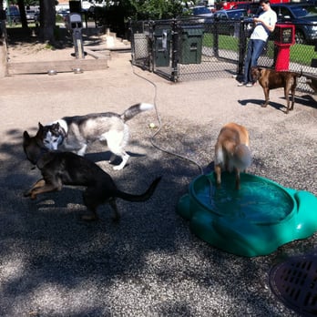 Wiggly Field - Dog Parks Near Me - Chicago, Illinois Wiggly Field - Dog Parks Near Me - Chicago, Illinois