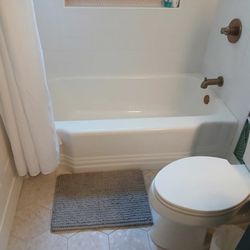 Bath Professional - Bathroom Remodel