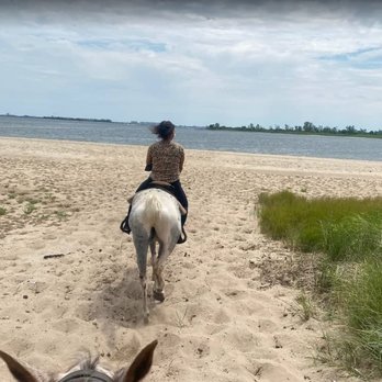 JAMAICA BAY RIDING ACADEMY - Updated February 2026 - 89 Photos & 111