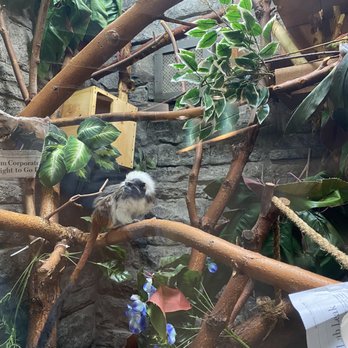 Idaho Falls Zoo - Zoos Near Me - Idaho Falls, Idaho Idaho Falls Zoo - Zoos Near Me - Idaho Falls, Idaho