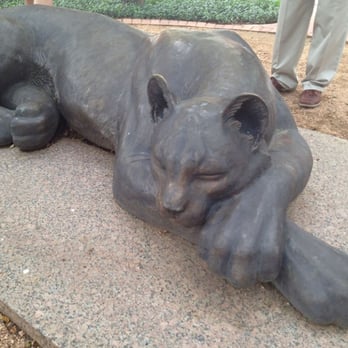 Downtown Fort Worth Walking Tours - Fort Worth's Panther #1 - In front of the historic courthouse - Tours Near Me - Fort Worth, Texas Downtown Fort Worth Walking Tours - Fort Worth's Panther #1 - In front of the historic courthouse - Tours Near Me - Fort Worth, Texas