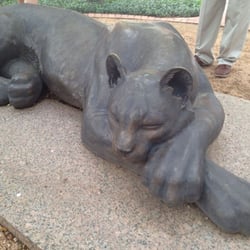 Downtown Fort Worth Walking Tours - Fort Worth's Panther #1 - In front of the historic courthouse