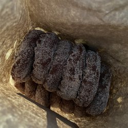 Sweetser's Apple Barrel and Orchards - Apple Cider Donuts!!!