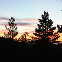 AYF Camp Big Pines