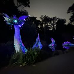 Rainbow Falls - Naga and The Captainess {8/24/2025}