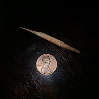 Rancho Rustico Restaurant - Be careful eating their taquitos! You might find one of these. (The spike thingy, not the penny) - Mexican Near Me - Tucson, Arizona Rancho Rustico Restaurant - Be careful eating their taquitos! You might find one of these. (The spike thingy, not the penny) - Mexican Near Me - Tucson, Arizona