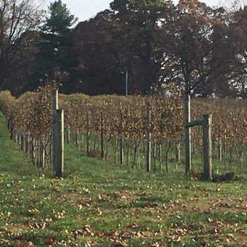 Wayvine - Wineries Near Me - Nottingham, Pennsylvania Wayvine - Wineries Near Me - Nottingham, Pennsylvania