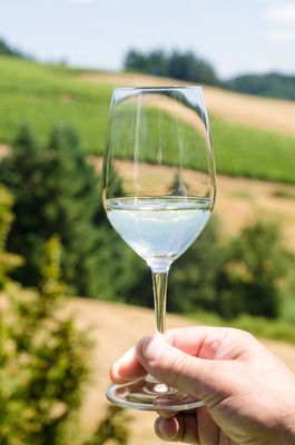 WillaKenzie Estate by null