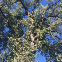 Birkmose Park