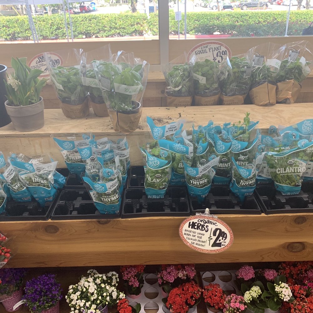 Trader Joe's - Grocery Near Me - Houston, Texas