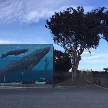 San Leandro Marina - Parks Near Me - San Leandro, California San Leandro Marina - Parks Near Me - San Leandro, California