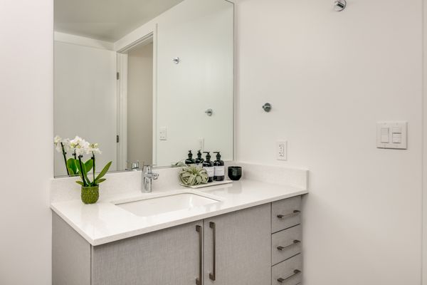 1717 Webster by null