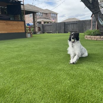 Southern Turf Co. - Backyard turf project - Artificial Turf Near Me - Austin, Texas Southern Turf Co. - Backyard turf project - Artificial Turf Near Me - Austin, Texas
