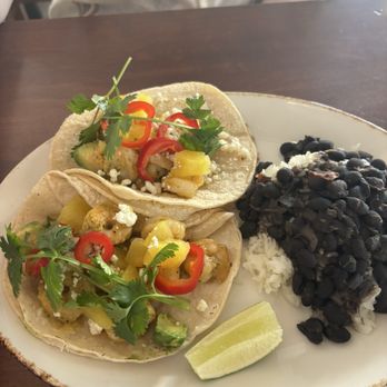 Noa Minneapolis - Shrimp tacos - Cocktail Bars Near Me - Minneapolis, Minnesota Noa Minneapolis - Shrimp tacos - Cocktail Bars Near Me - Minneapolis, Minnesota
