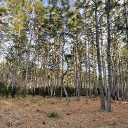 Upper Tampa Bay Trail
