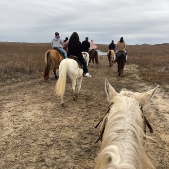 Horses On The Beach - Horseback Riding Near Me - Corpus Christi, Texas