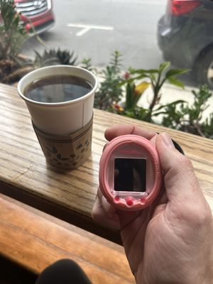 PennyCup at the YMI by null