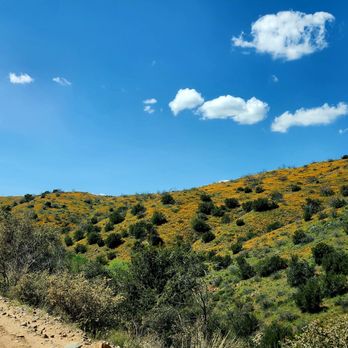 Tonto National Forest - Parks Near Me - Phoenix, Arizona Tonto National Forest - Parks Near Me - Phoenix, Arizona