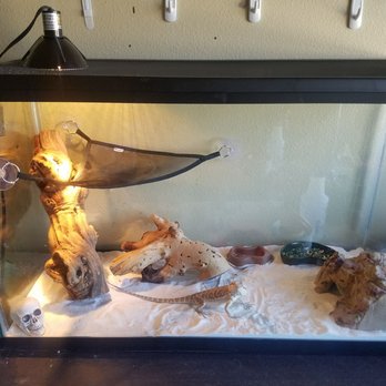 Petco - Pet Stores Near Me - Mission Viejo, California Petco - Pet Stores Near Me - Mission Viejo, California
