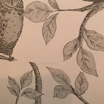 Spencer Colgan - Wallpaper Installer - Wallpapering Near Me - Tampa, Florida Spencer Colgan - Wallpaper Installer - Wallpapering Near Me - Tampa, Florida