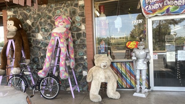 PURPLE PENGUIN CANDY EMPORIUM - Updated January 2026 - 36 Photos