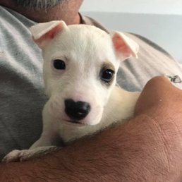 Our new baby, Hardy. Our new baby, Hardy.
