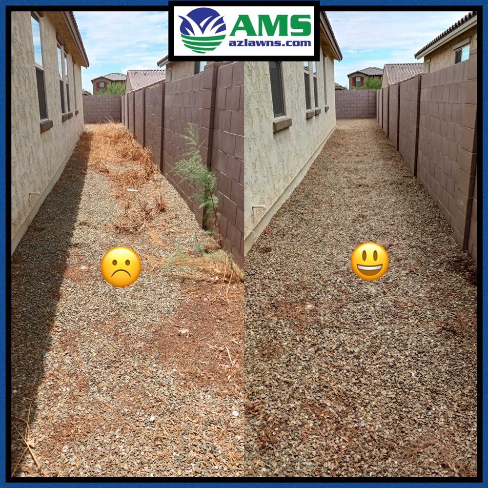 AMS LANDSCAPING Updated October 2024 420 Photos & 140 Reviews