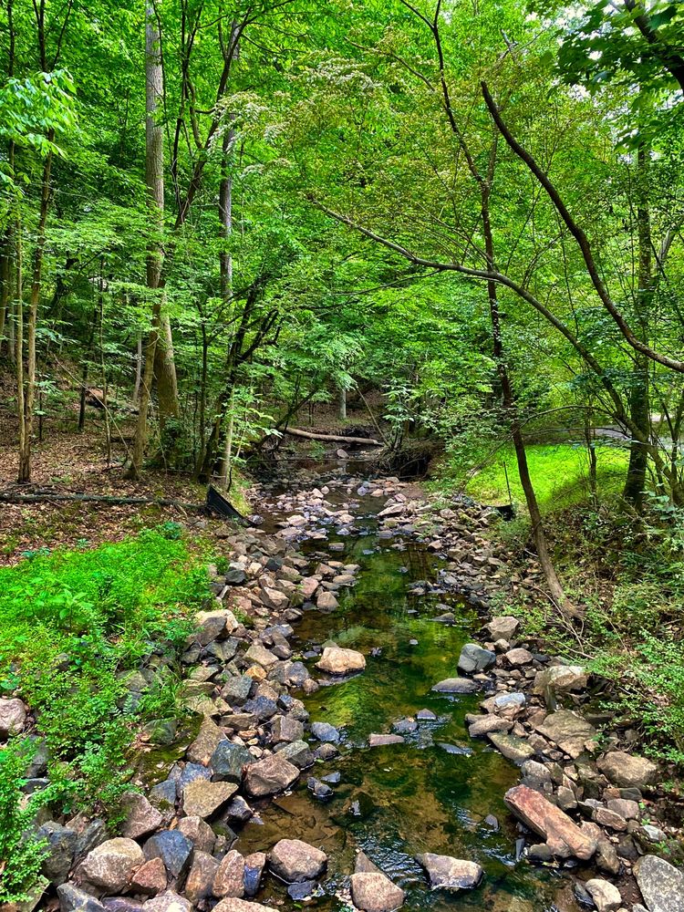 BLACK CREEK GREENWAY Updated August 2024 43 Photos Black Creek