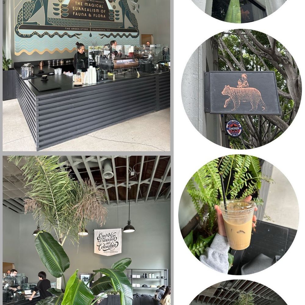 The Boy & The Bear - Coffee & Tea Near Me - Pasadena, California The Boy & The Bear - Coffee & Tea Near Me - Pasadena, California