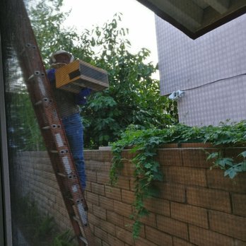 Bee Gone Bee Removal Service - Pest Control Near Me Bee Gone Bee Removal Service - Pest Control Near Me