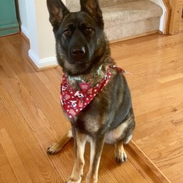 She walked out w/ this cool bandana! I love it! She walked out w/ this cool bandana! I love it!