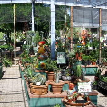 Harlow Gardens - Cactus and succulents - Nurseries & Gardening Near Me - Tucson, Arizona