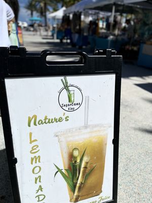 Las Olas Oceanside Park by null