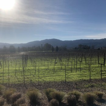 Mumm Napa - Gorgeous view in December - Wine Tasting Room Near Me - Rutherford, California Mumm Napa - Gorgeous view in December - Wine Tasting Room Near Me - Rutherford, California