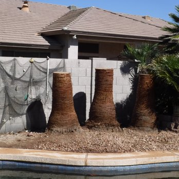 Arbor Care Tree Service - Tree Services Near Me Arbor Care Tree Service - Tree Services Near Me