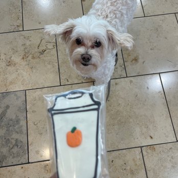 Mrs. Fields Westfield Shopping Town - Dog Cookie for my baby - Bakeries Near Me - Palm Desert, California Mrs. Fields Westfield Shopping Town - Dog Cookie for my baby - Bakeries Near Me - Palm Desert, California