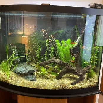 ABC Aquatic - Before picture - Aquarium Services Near Me ABC Aquatic - Before picture - Aquarium Services Near Me