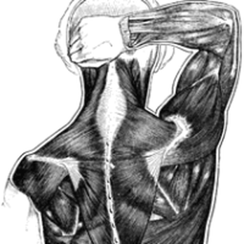MusculoSkeletal Massage - MusculoSkeletal Massage Does the Body Good! - Massage Therapy Near Me - Virginia Beach, Virginia MusculoSkeletal Massage - MusculoSkeletal Massage Does the Body Good! - Massage Therapy Near Me - Virginia Beach, Virginia