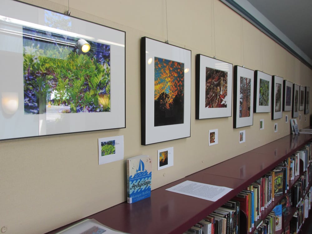 THOMAS MEMORIAL LIBRARY Updated October 2024 38 Photos 6 Scott