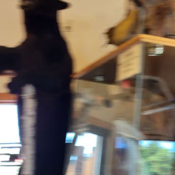 Log Cabin Store & Eatery - blurry image of a man in a black jacket and hat - Sporting Goods Near Me - Danbury, Wisconsin