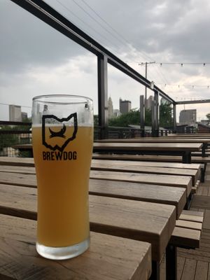 BrewDog Franklinton by null