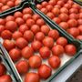 Photo of Provincetown Farmers Market